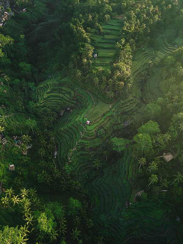 bali indonesia