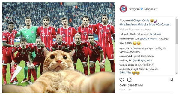 calcio e social bayern monaco gatto