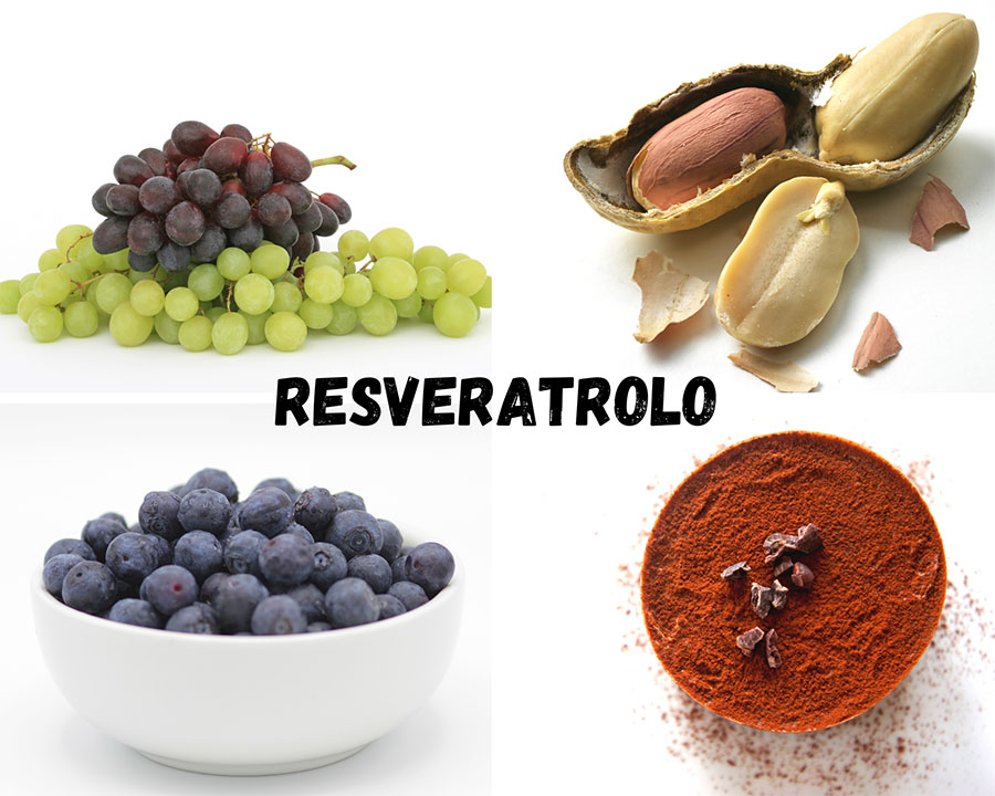 resveratrolo vino uva