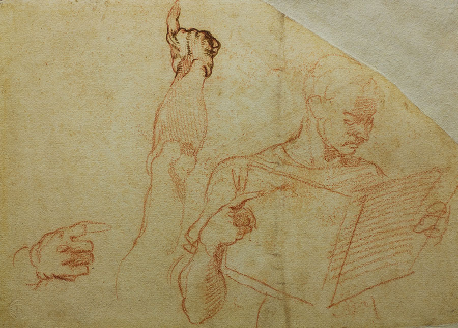 michelangelo e la cappella sistina viterbo mostra disegni