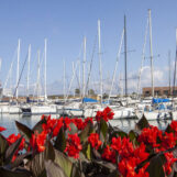 Yacht & Garden 2023: piante, fiori e barche a Genova
