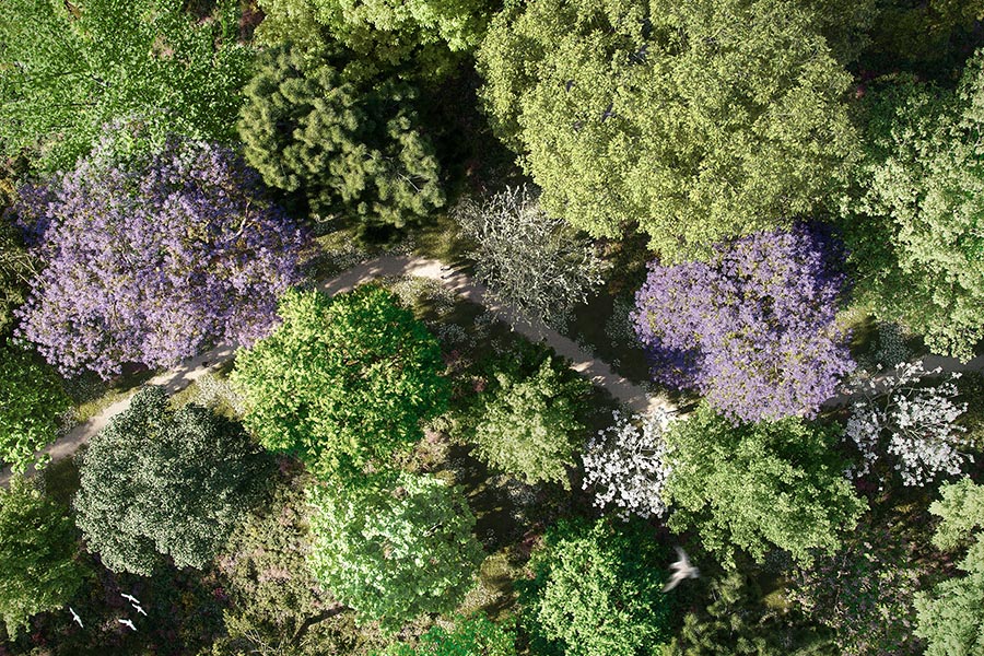 arte per la riforestazione prato
