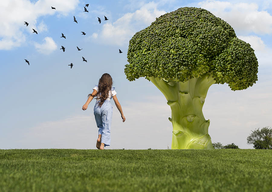 broccoli cavoli brassicacee